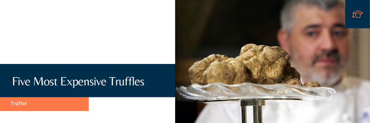 Five Most Expensive Truffles
