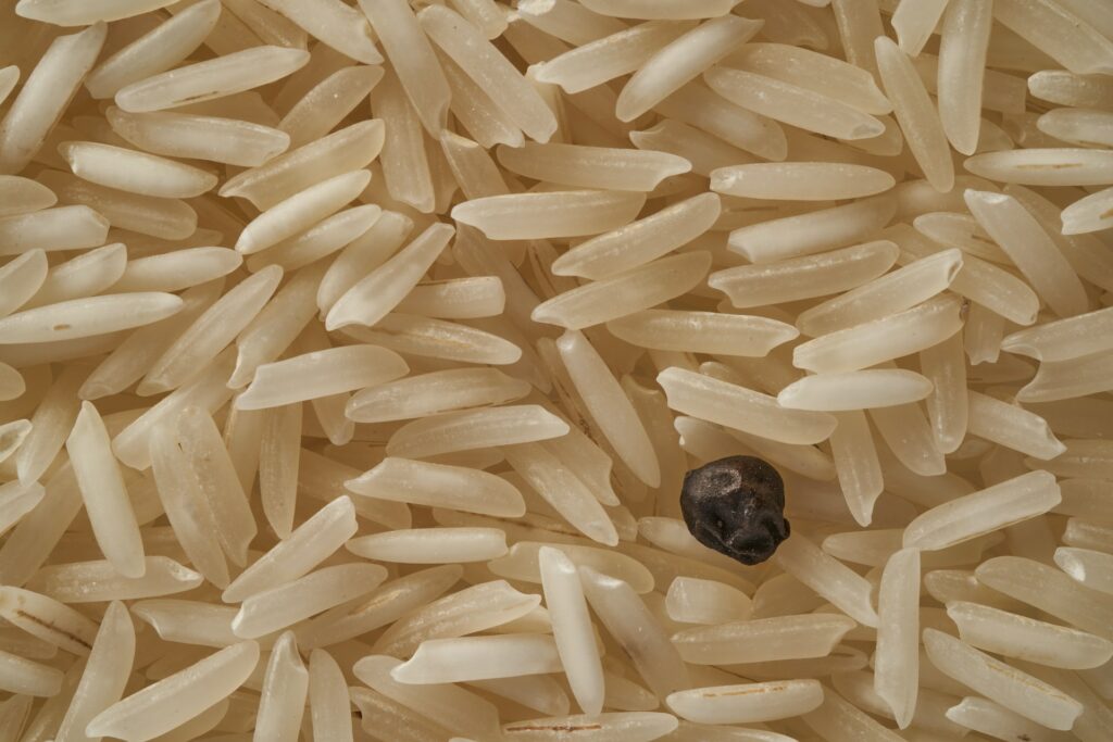 Teuerster Reis der Welt